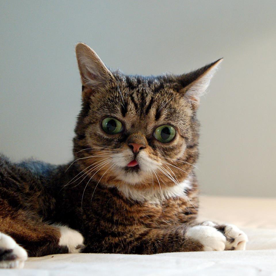 Ea este noua senzaţie a internetului. Până şi Robert De Niro a ţinut morţiş să fie fotografiat cu ea 205238