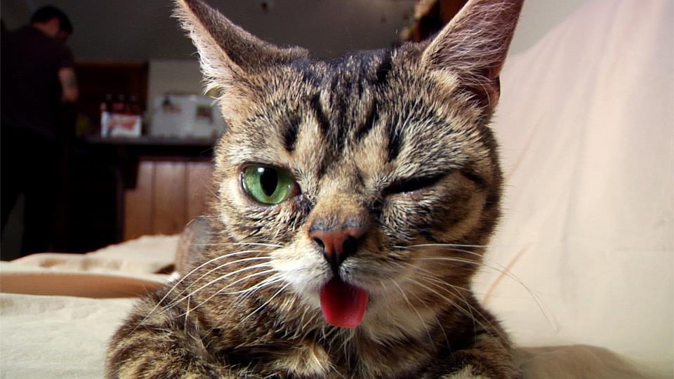 Ea este noua senzaţie a internetului. Până şi Robert De Niro a ţinut morţiş să fie fotografiat cu ea 205239