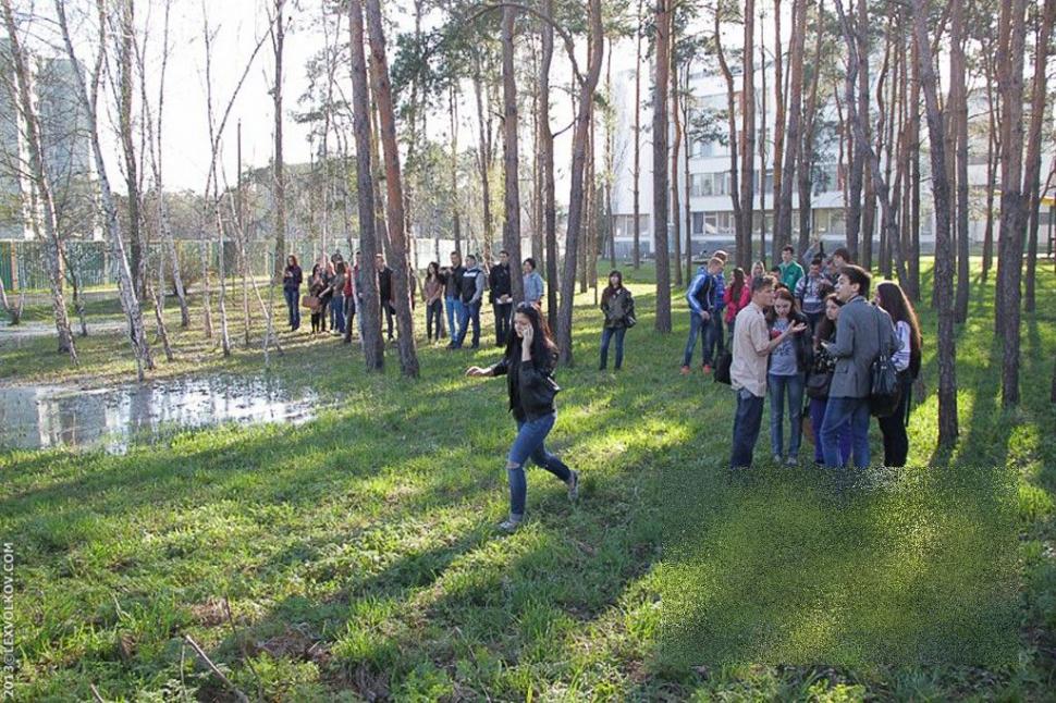 S-a întâmplat ieri, în mijlocul Capitalei. Poliţiştii se uitau ca la circ; în loc să acţioneze, făceau POZE 205228