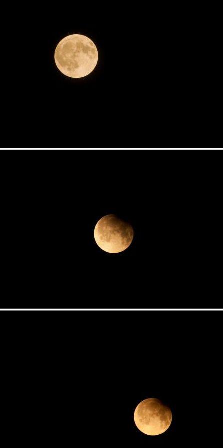 Un fenomen astronomic deosebit a avut loc noaptea trecută. Vezi imagini cu eclipsa parţială de lună 205486