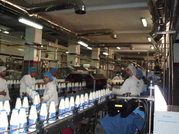 România în mişcare: O călătorie în culisele unei fabrici de lapte