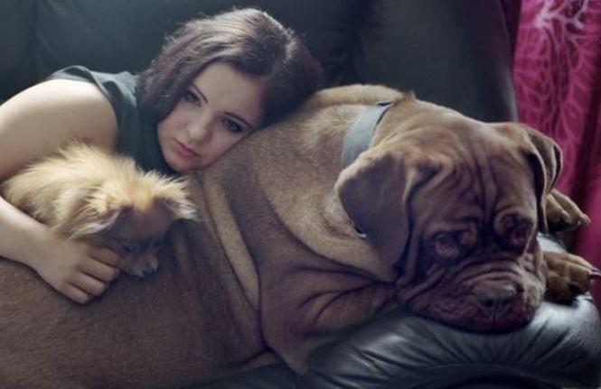 Imaginea impresionantă care arată legătura puternică dintre om şi animal. Fotografia a fost premiată la un concurs important 205751