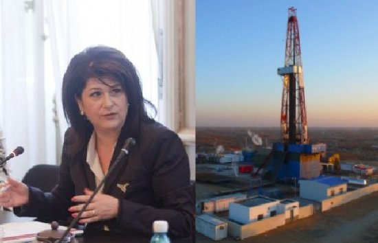 Rovana Plumb: Shale gas exploration poses no environmental risk