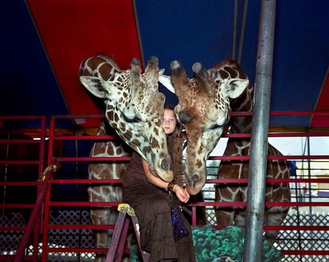 Vezi o galerie foto impresionantă cu fetiţa care iubeşte toate animalele 207083