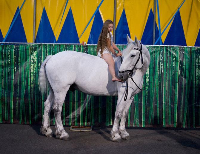 Vezi o galerie foto impresionantă cu fetiţa care iubeşte toate animalele 207089