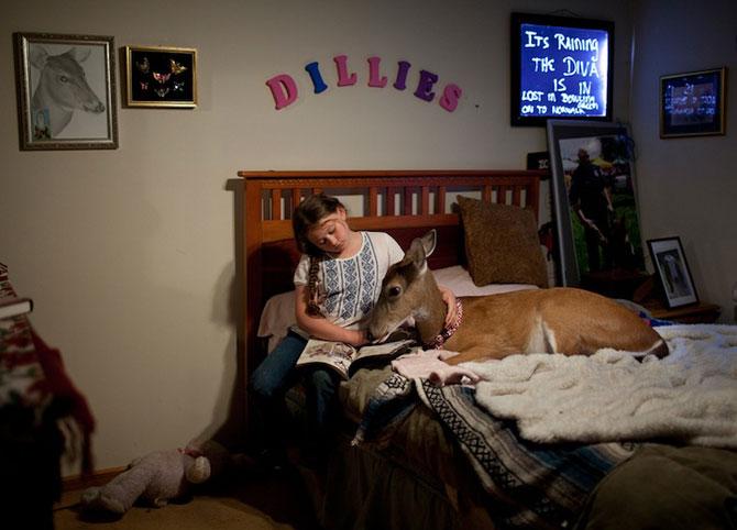 Vezi o galerie foto impresionantă cu fetiţa care iubeşte toate animalele 207097