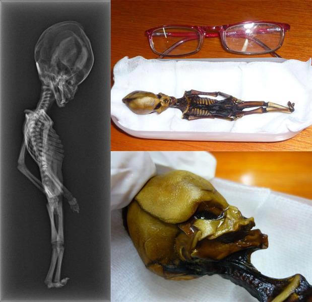 Misterul bizarului schelet de 15 centimetri găsit în deşert a fost elucidat. Cui aparţin rămăşiţele 207226