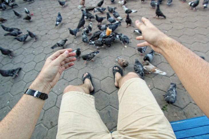 Fotografia celor doi ochi anonimi 208357