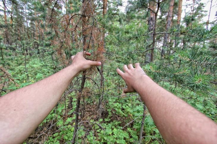 Fotografia celor doi ochi anonimi 208360