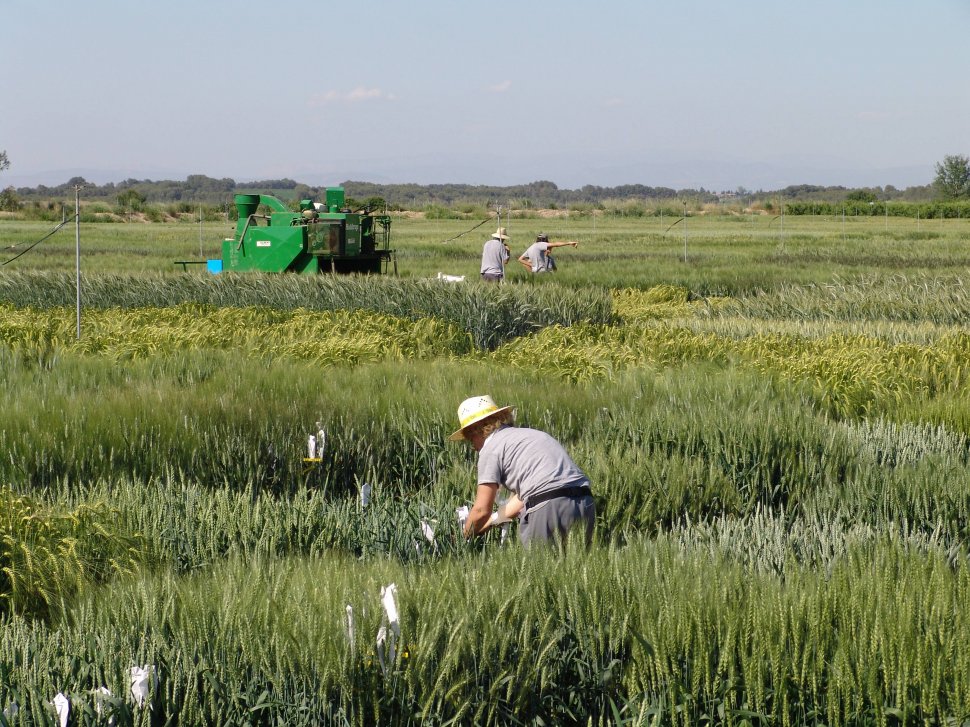 Cioloş: Subvenţii cu 20% mai mari pentru fermierii care arendează terenurile agricultorilor activi