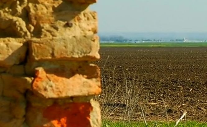 Peste 500.000 de hectare de teren agricol din România au căzut pradă buruienilor