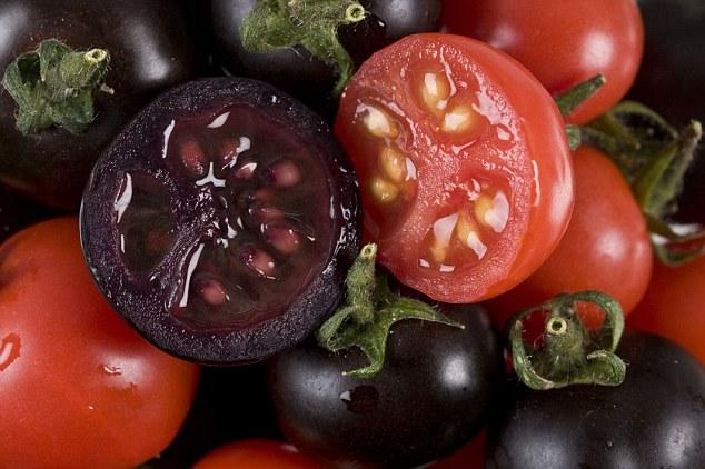 Tomatele VIOLET, mai proaspete şi mai atrăgătoare, dar CU CE PREŢ. Tu le-ai consuma? 209555