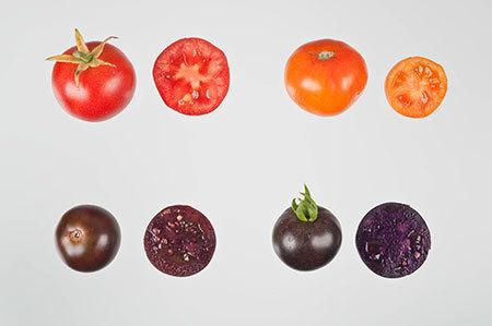 Tomatele VIOLET, mai proaspete şi mai atrăgătoare, dar CU CE PREŢ. Tu le-ai consuma? 209556