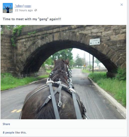 Imaginile postate pe Facebook de cea mai controversată sectă din SUA. "Nu ne vom mai plictisi niciodată" 210371