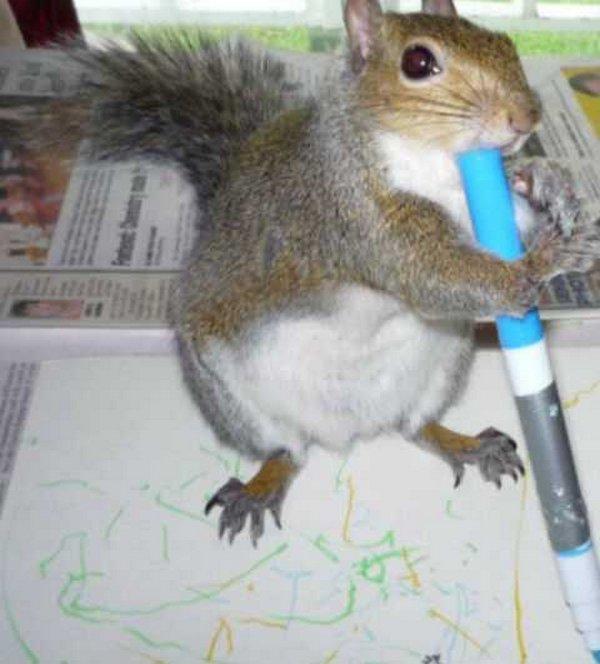 Este cel mai nou artist intrat în "clubul pictorilor". Îşi vinde tablourile cu 40 de dolari, iar comenzile nu încetează să apară 211141