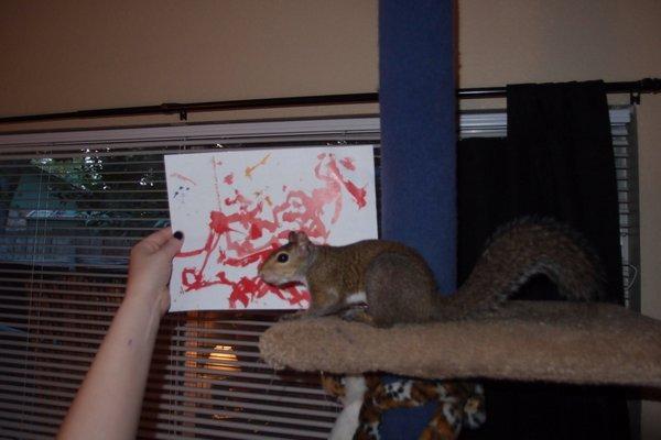 Este cel mai nou artist intrat în "clubul pictorilor". Îşi vinde tablourile cu 40 de dolari, iar comenzile nu încetează să apară 211142