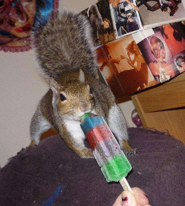 Este cel mai nou artist intrat în "clubul pictorilor". Îşi vinde tablourile cu 40 de dolari, iar comenzile nu încetează să apară 211145