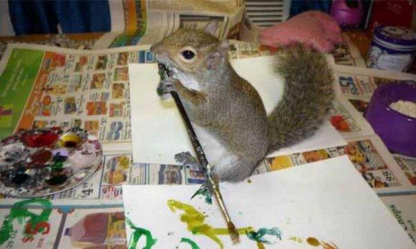 Este cel mai nou artist intrat în "clubul pictorilor". Îşi vinde tablourile cu 40 de dolari, iar comenzile nu încetează să apară 211146