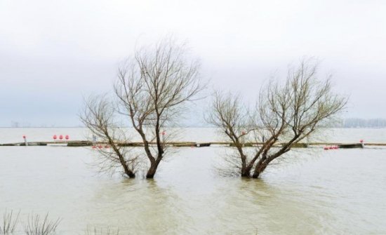 Furia apelor face ravagii. Debitul Dunării a atins un nivel record la Bratislava