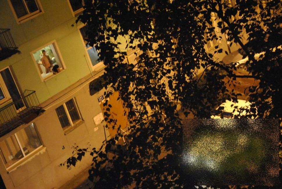 Toţi vecinii erau la geamuri. "Terminaseră de mâncat şi s-au gândit să aducă un omagiu caprei" 211721