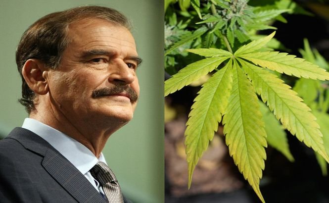 Fostul preşedinte mexican vrea să cultive...marijuana!
