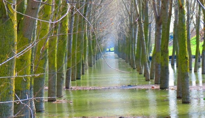 Codul portocaliu de inundaţii pe afluenţii Sucevei, Moldovei şi Bistriţei se menţine până luni