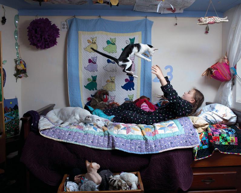 Lumea Ameliei. Povestea fotografiilor care au rupt toate barierele între om şi animal 212318