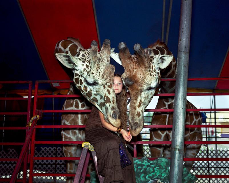 Lumea Ameliei. Povestea fotografiilor care au rupt toate barierele între om şi animal 212319