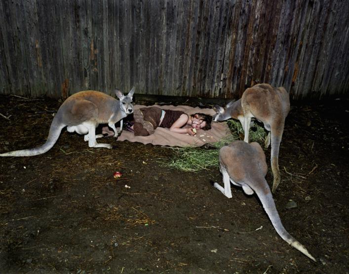 Lumea Ameliei. Povestea fotografiilor care au rupt toate barierele între om şi animal 212322
