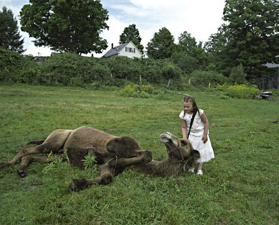 Lumea Ameliei. Povestea fotografiilor care au rupt toate barierele între om şi animal 212324