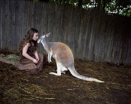 Lumea Ameliei. Povestea fotografiilor care au rupt toate barierele între om şi animal 212325