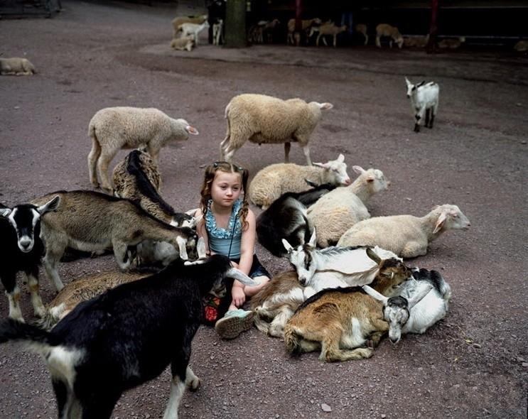 Lumea Ameliei. Povestea fotografiilor care au rupt toate barierele între om şi animal 212328