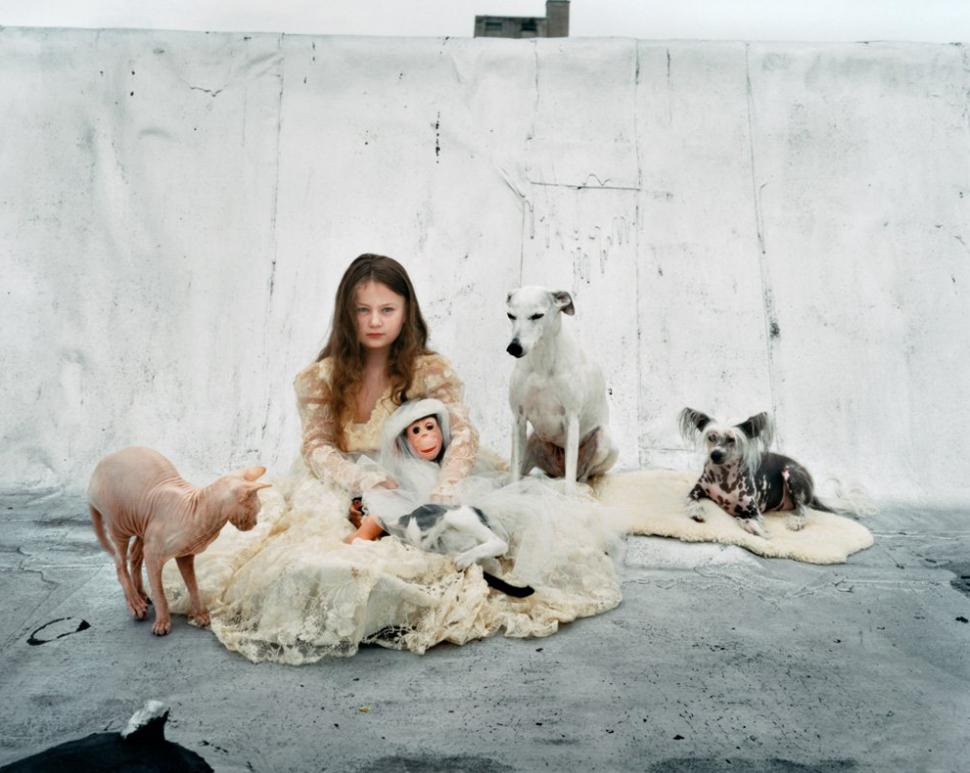 Lumea Ameliei. Povestea fotografiilor care au rupt toate barierele între om şi animal 212329