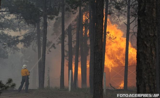 Puternice incendii de vegetaţie în SUA: Nouă mii de oameni au fost evacuaţi