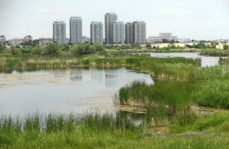 Bucureştiul intră pe lista capitalelor care deţin rezervaţii naturale: Delta Văcăreşti va deveni arie protejată