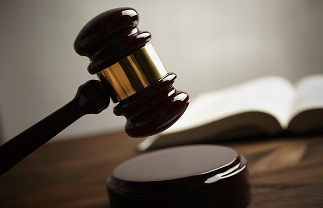 Zeci de hotărâri date de Judecătoria Motru în ultimii 10 ani, ANULATE din cauza unei pretinse avocate care folosea o ştampilă falsă
