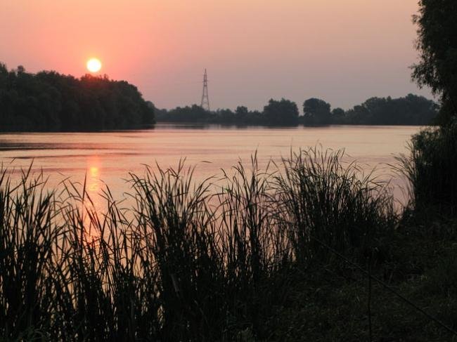 Apa Nova repopulează cu sturioni Delta Dunării