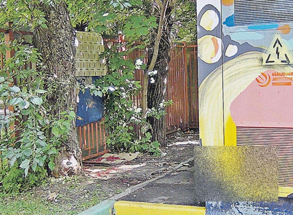 Ce a fost în stare să facă acest adolescent simpatic a ÎNGROZIT o ţară întreagă. "Urmele de sânge duceau chiar la uşa casei lui" 215548