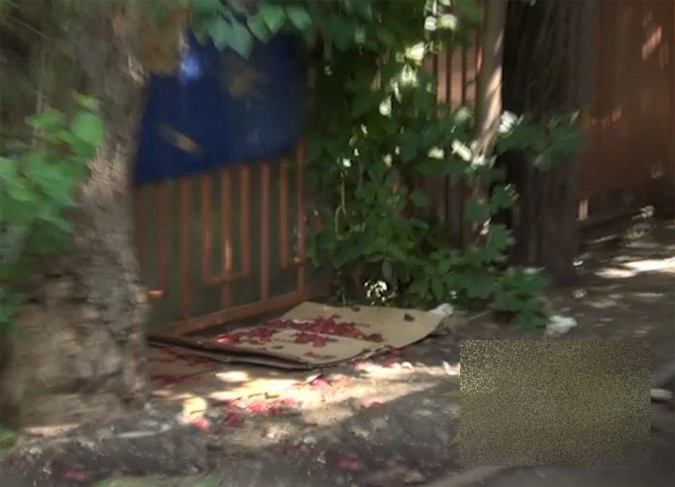 Ce a fost în stare să facă acest adolescent simpatic a ÎNGROZIT o ţară întreagă. "Urmele de sânge duceau chiar la uşa casei lui" 215549