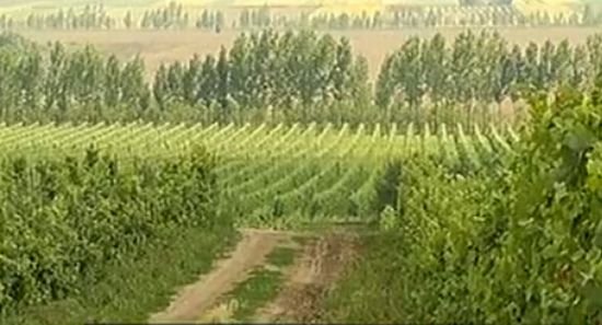 Agricultura din România a atins un nou nivel: utilajele sunt asistate prin satelit