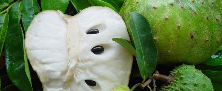 Guanabana, fructul care vindecă cancerul 216876