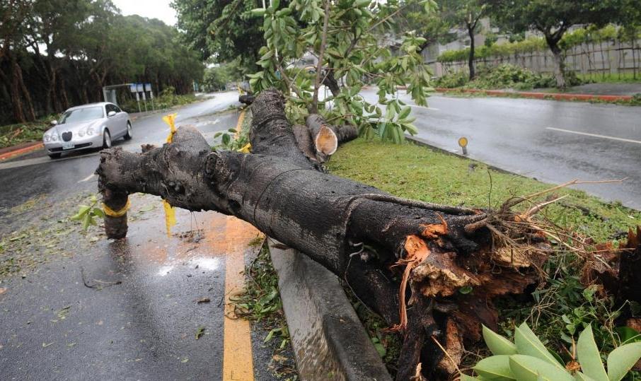 Cel puţin un mort şi 30 de răniţi, în urma taifunului Sulik din Taiwan 217099