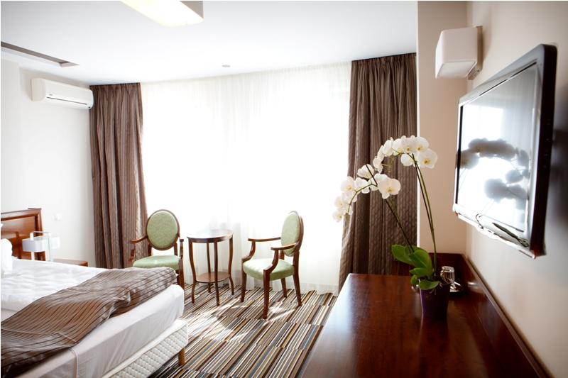 (P) Modernizarea hotelului Belvedere – o perspectivă mai bună prin Regio 216494