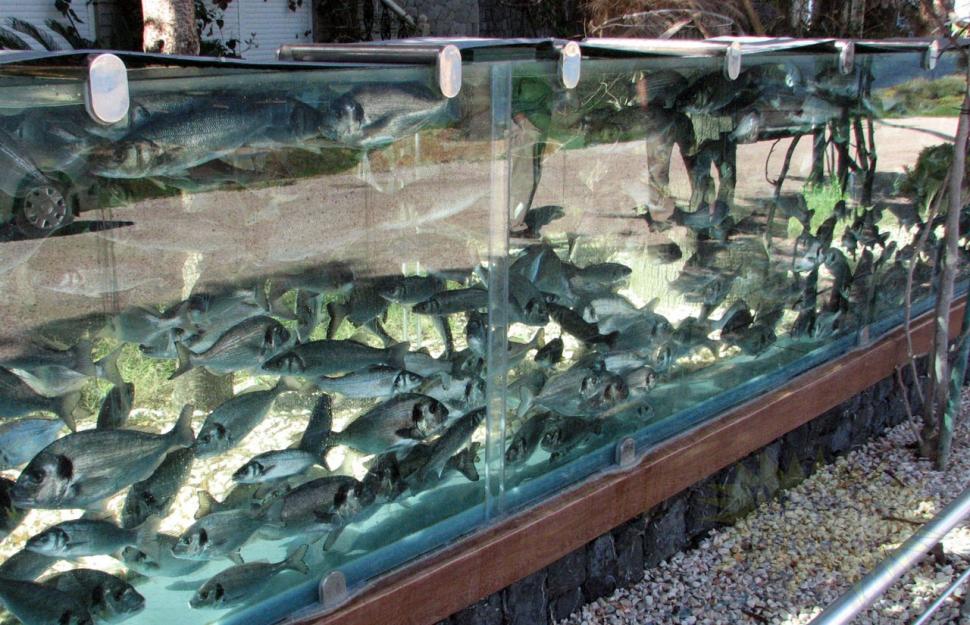 După ce şi-a construit casa asta, toţi oamenii care trec pe stradă se opresc la poarta lui. E UNICĂ în lume 217612