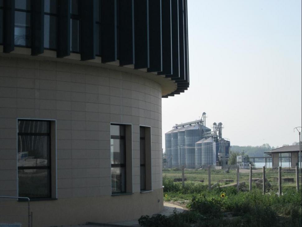 (P) Regio contribuie la deschiderea primei burse de cereale din România  217846