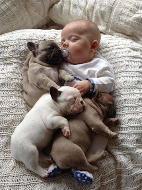 Mii de oameni s-au "topit" când au văzut pozele astea. "Dragostea pentru animale se învaţă din faşă" 218811