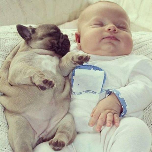 Mii de oameni s-au "topit" când au văzut pozele astea. "Dragostea pentru animale se învaţă din faşă" 218816