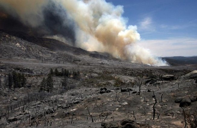 Incendiu de pădure lângă un sit arheologic din insula Creta