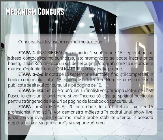 Cel mai bun hairstylist din România. Concurs pentru profesionişti, jurizat de profesionişti! 219361