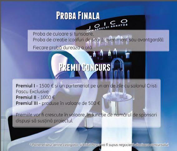 Cel mai bun hairstylist din România. Concurs pentru profesionişti, jurizat de profesionişti! 219362